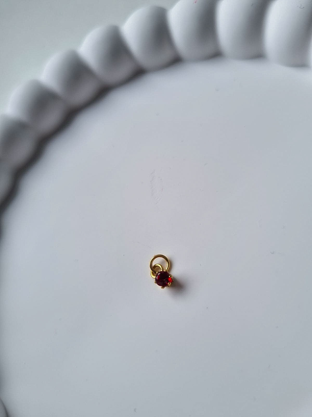CIRCLE BIRTHSTONE CHARM - JANUARY