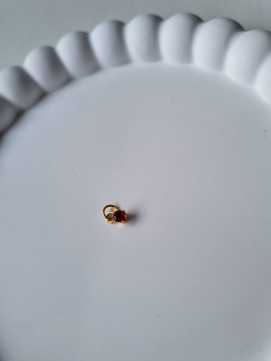 CIRCLE BIRTHSTONE CHARM - JANUARY