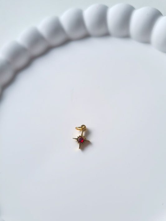 STAR BIRTHSTONE CHARM - JANUARY